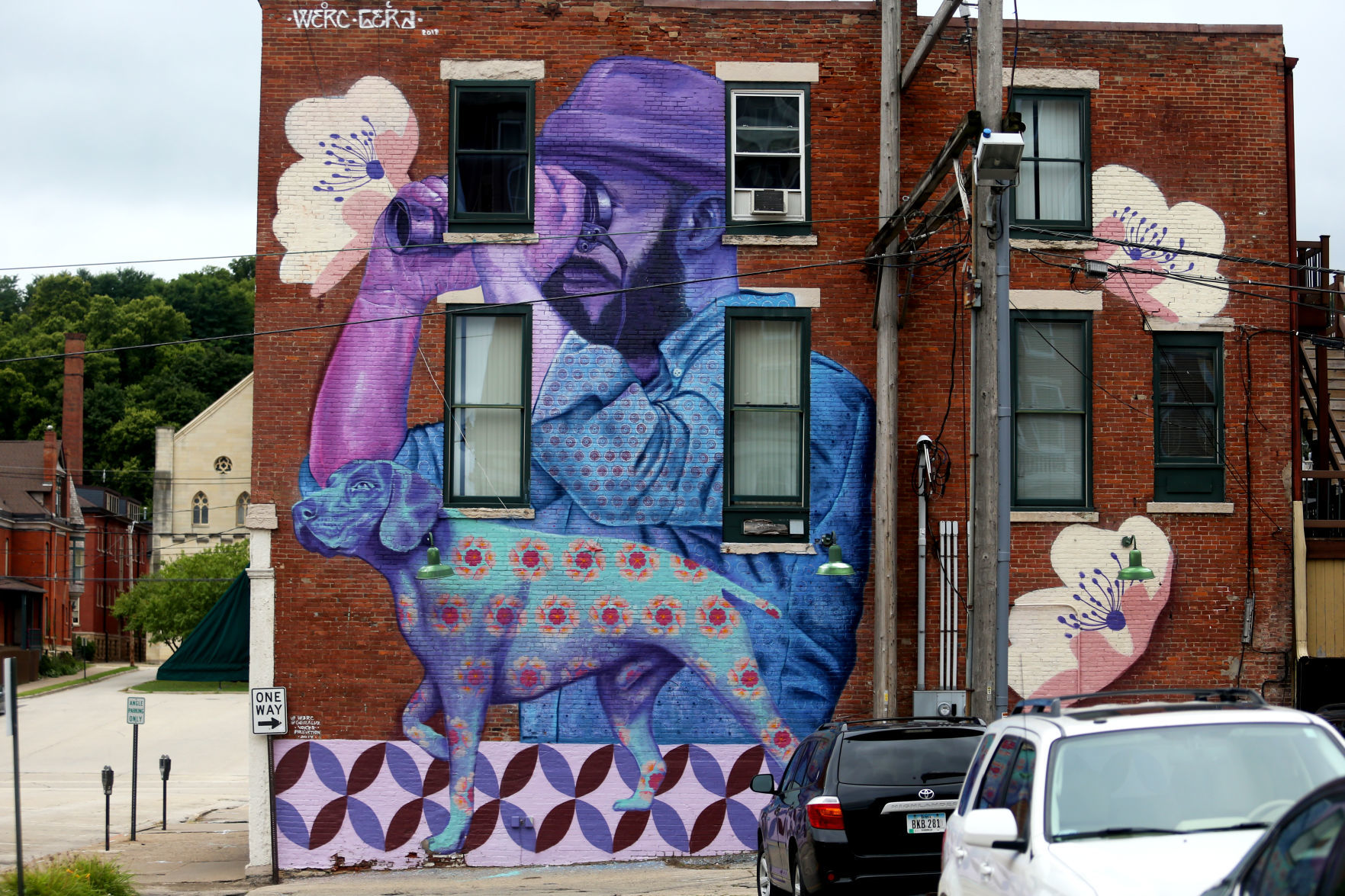 Murals Bird Dog